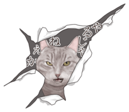 Cat's on the other side of the hole sticker #11183306