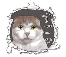 Cat's on the other side of the hole sticker #11183307