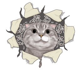 Cat's on the other side of the hole sticker #11183308