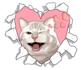 Cat's on the other side of the hole sticker #11183310