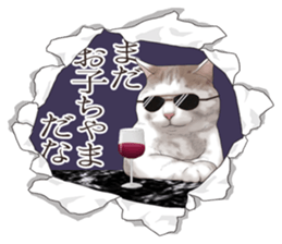 Cat's on the other side of the hole sticker #11183319