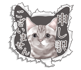 Cat's on the other side of the hole sticker #11183322