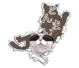 Cat's on the other side of the hole sticker #11183323