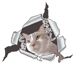 Cat's on the other side of the hole sticker #11183326
