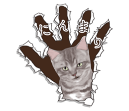 Cat's on the other side of the hole sticker #11183331