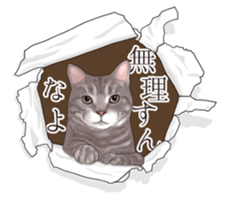 Cat's on the other side of the hole sticker #11183334