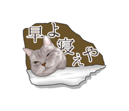 Cat's on the other side of the hole sticker #11183337