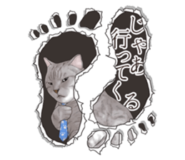 Cat's on the other side of the hole sticker #11183338