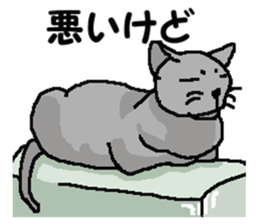 New type of "Gal" sticker #11184106