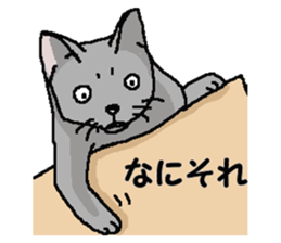 New type of "Gal" sticker #11184110