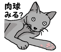 New type of "Gal" sticker #11184111