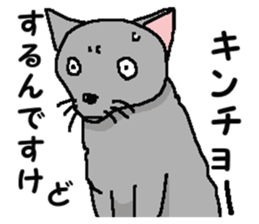 New type of "Gal" sticker #11184115