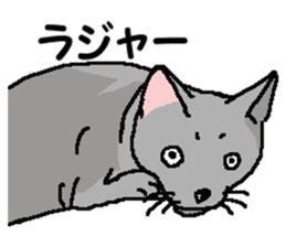 New type of "Gal" sticker #11184116