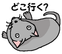 New type of "Gal" sticker #11184117