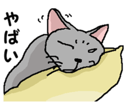 New type of "Gal" sticker #11184118