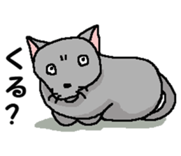 New type of "Gal" sticker #11184120