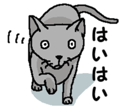 New type of "Gal" sticker #11184123