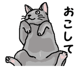 New type of "Gal" sticker #11184134