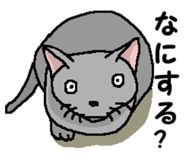 New type of "Gal" sticker #11184139