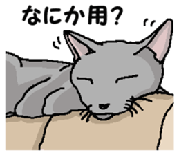 New type of "Gal" sticker #11184140