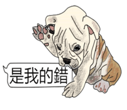 (NEW) BULLDOG and the Balloon sticker #11184410
