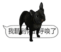 (NEW) BULLDOG and the Balloon sticker #11184423