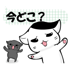 To sprout around, baby cat