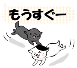 To sprout around, baby cat sticker #11187390