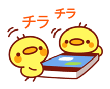 Message Chick3 sticker #11187652