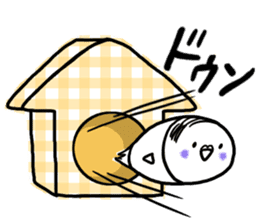 Parakeet father went bald sticker #11190474