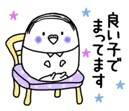 Parakeet father went bald sticker #11190489