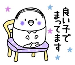 Parakeet father went bald sticker #11190489