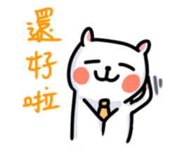 White Cat' Every Day sticker #11191280