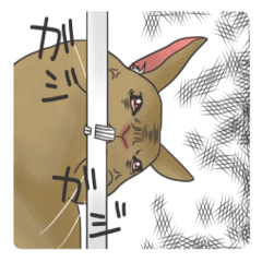 Stress rabbit