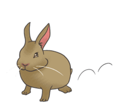 Stress rabbit sticker #11192928