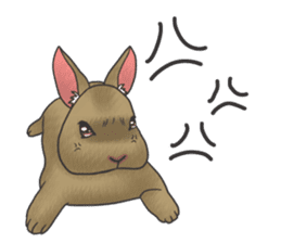 Stress rabbit sticker #11192931