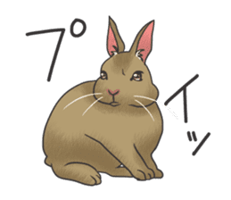 Stress rabbit sticker #11192933