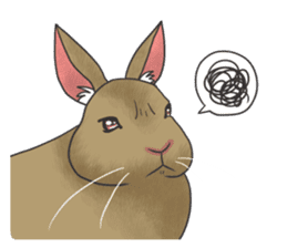 Stress rabbit sticker #11192941