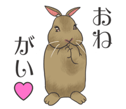 Stress rabbit sticker #11192944