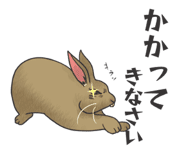 Stress rabbit sticker #11192951
