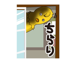 The weird chicks which have no feeling sticker #11195852