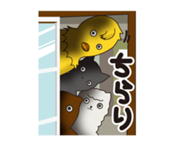 The weird chicks which have no feeling sticker #11195853