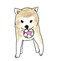 Shiba inu Sakura sticker #11196747