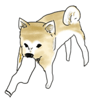 Shiba inu Sakura sticker #11196748