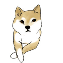 Shiba inu Sakura sticker #11196762