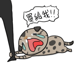 Master daily 2 sticker #11197951