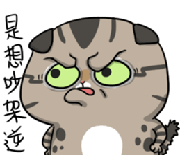 Master daily 2 sticker #11197972