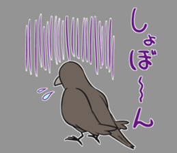 Crow and Bear sticker #11199100