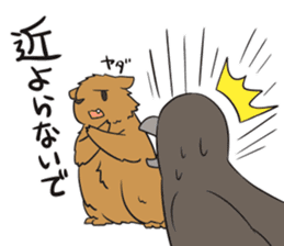 Crow and Bear sticker #11199110