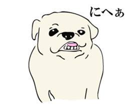 Animal is good. sticker #11202178